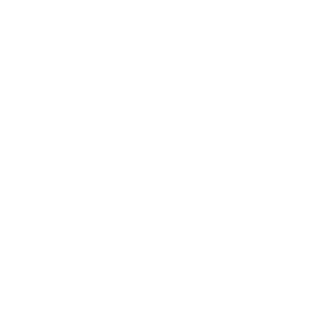 MLS-log-usa