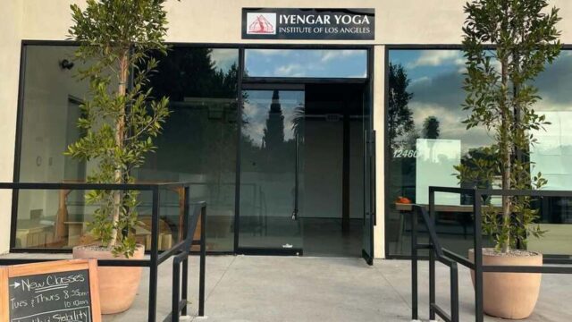 lyengar-yoga-instituto